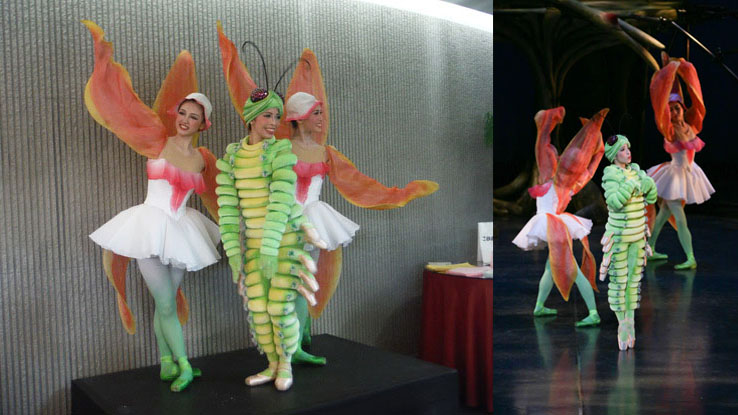 Lost_Caterpillar_caterpillar_flowers