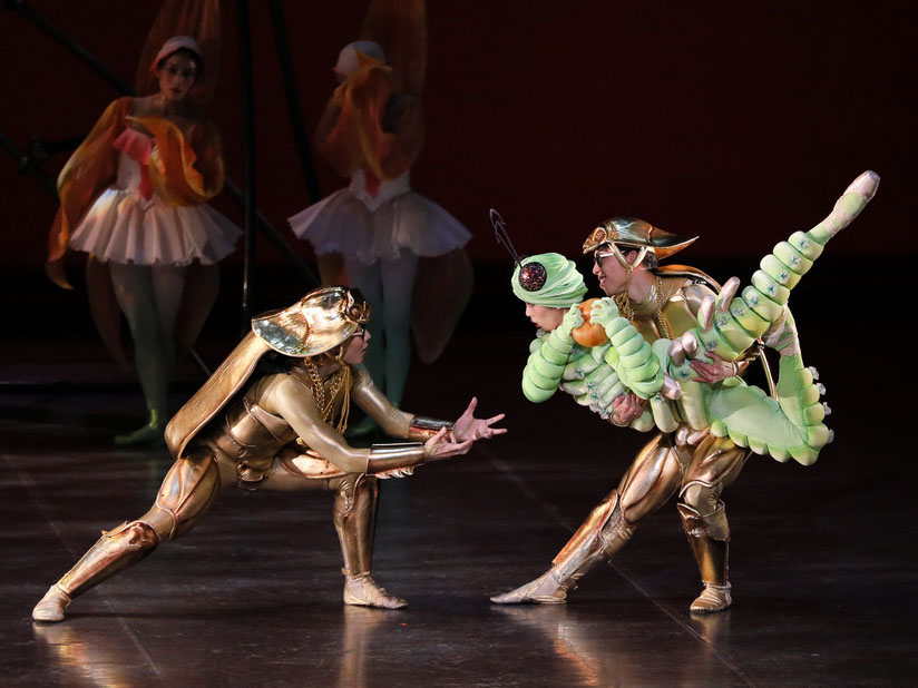 lost_caterpillar_poster web 1